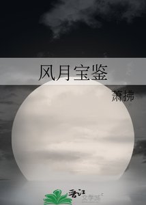 風月瓷鑑
